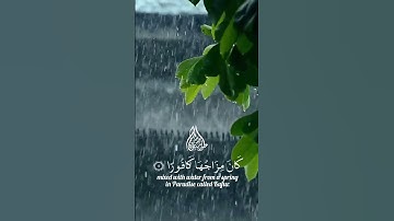 قرآن كريم | سورة الإنسان بصوت جميل #اكسبلور #المصحف #قرآن