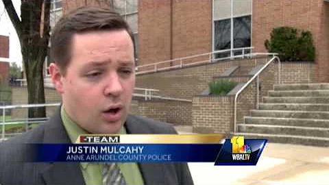 Police 30+ guns found in raid, man arrested