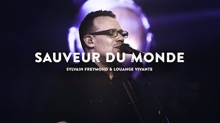 Sauveur du monde (Jem 979) feat. Pierre-Nicolas - Sylvain Freymond & Louange vivante (Live) chords