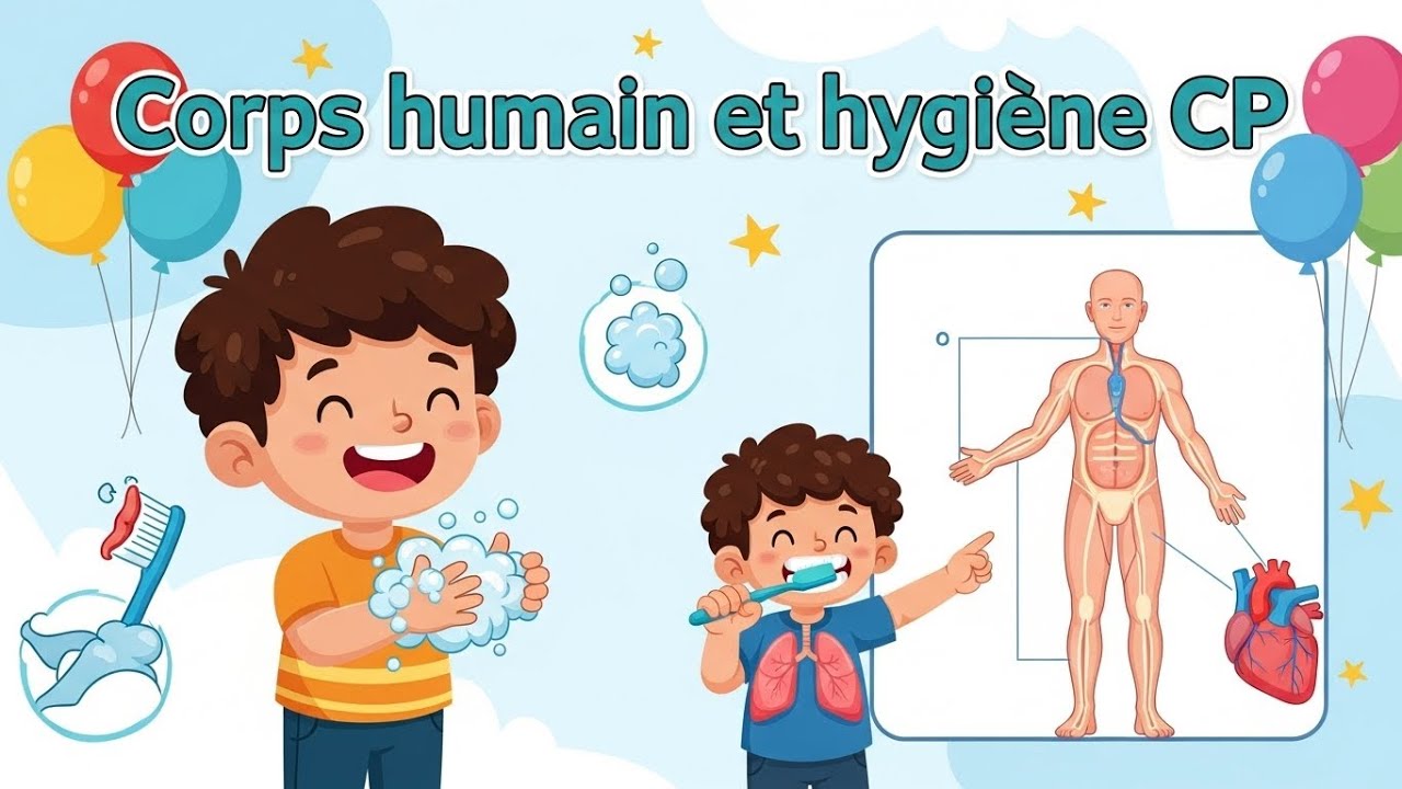 d-couvrir-le-corps-humain-et-l-hygi-ne-au-cp-apprendre-prendre-soin