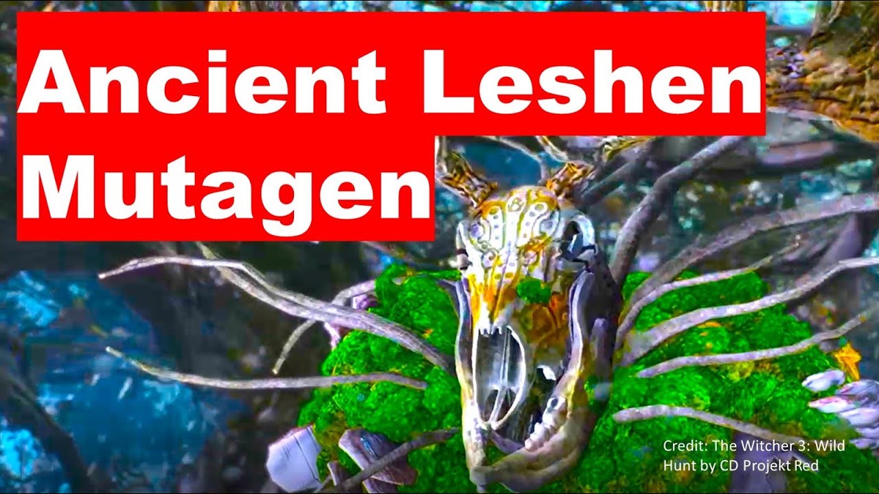 SECRET Location of ANCIENT Leshen Mutagen in The Witcher 3 