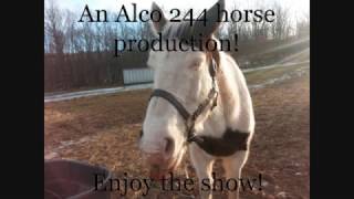 Found a horse I know on Craigslist!