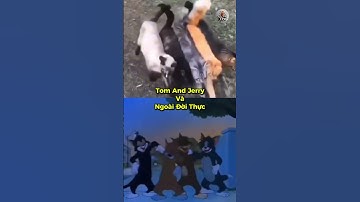 Nào giờ cứ nghĩ chỉ có ở trong phim