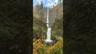 Beautiful waterfall in Oregon #shortsfeed #shortsvideo #oregon #travel