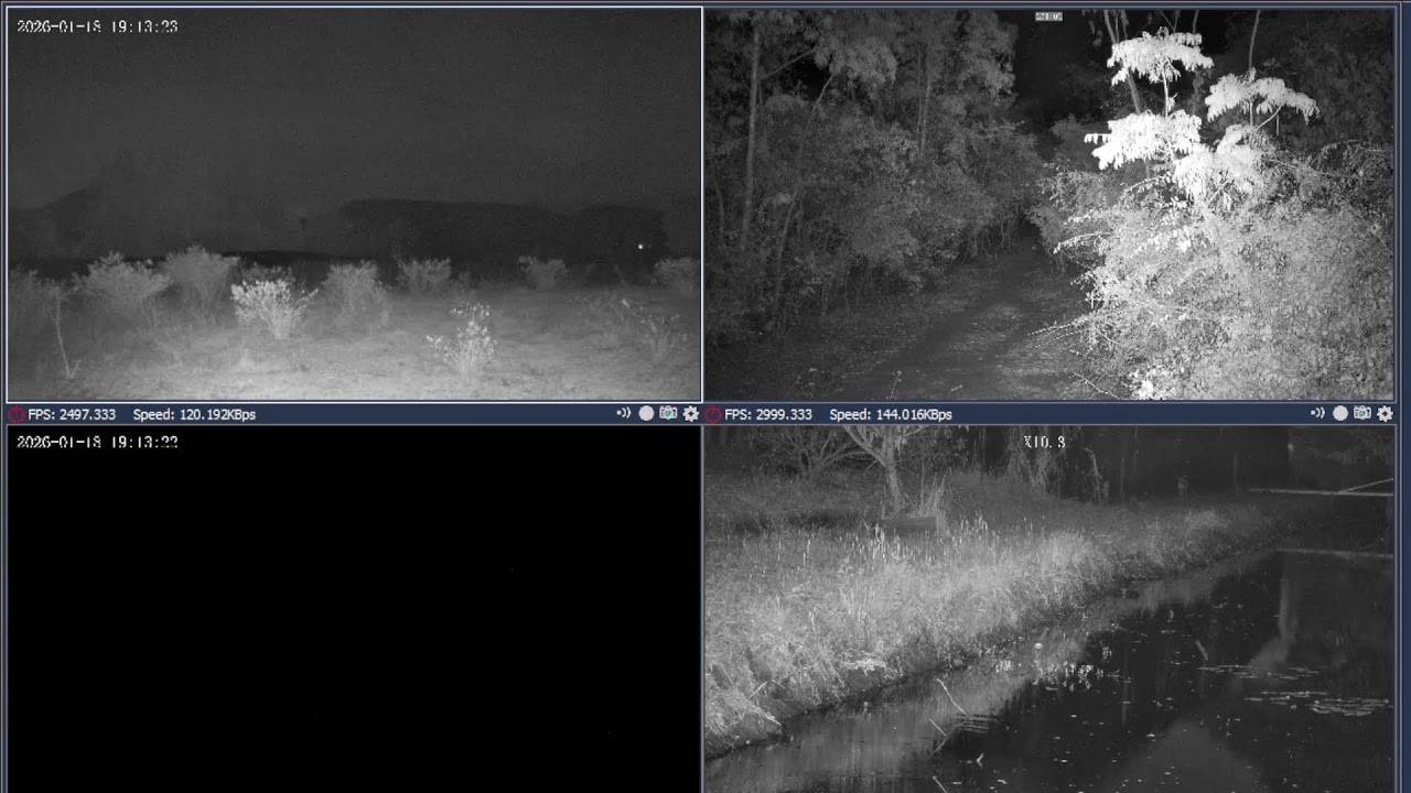 Buenos dias en directooooooo