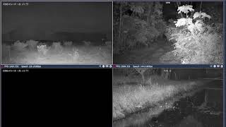 Thumbnail image for Buenos dias en directooooooo