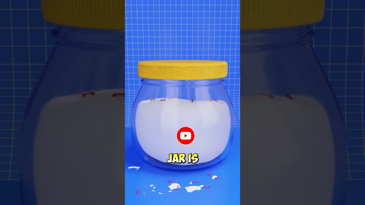 How do ants gets inside a sealed sugar jar 😶‍🌫️😶‍🌫️ 