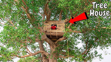 We Made a Real Tree House😱 | हमने पेड़ पे बना दिया शानदार घर | Part-1
