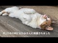 ヤキモチってこんなきもち