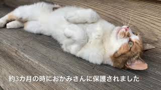 ヤキモチってこんなきもち
