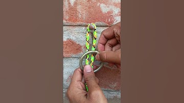 You’ve Never Come Across This Before! ✨