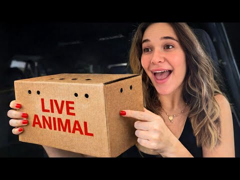 Unboxing Our Secret Baby Animal 