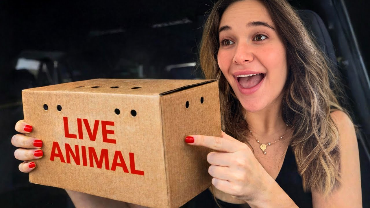 Unboxing Our Secret Baby Animal!