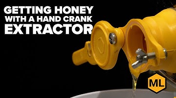 Extracting Honey? 3 Methods to Prep Your Bee Hive Frames Like a Pro!