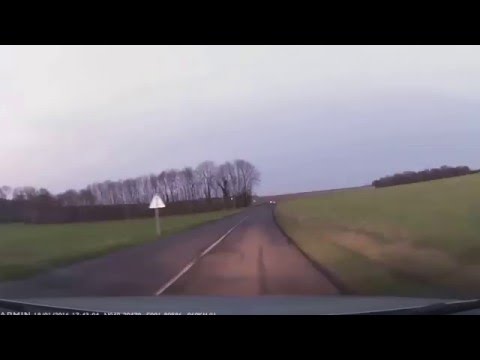 Accident sanglier DashCam