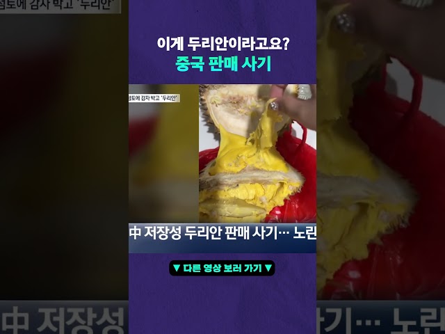 중국 가짜 두리안의 충격적인 정체 #뉴픽