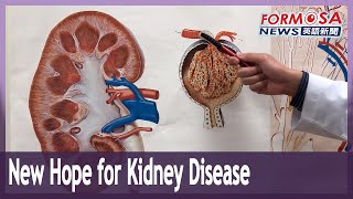 New drug offers fresh hope for treating kidney disease without dialysis screenshot 4