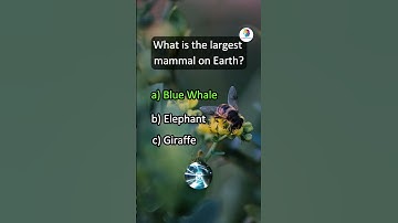 Can you get 3/3. Test your knowledge with our daily Quiz. #shorts #shortvideo #short #youtube #quiz