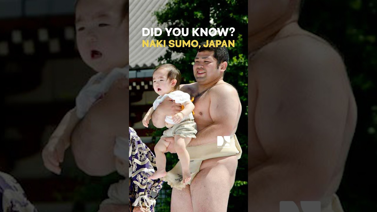 Would you hand your baby to a sumo wrestler? 