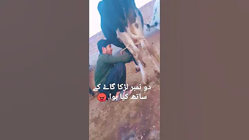 دو نمبر لڑکا 12 سال کا سکسی 