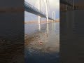 30 апреля 2024 г.