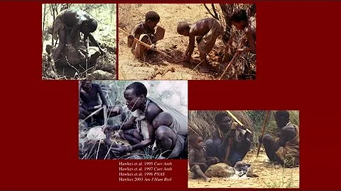 CARTA: Culture-Gene Interactions in Human Origins:...