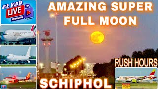 Download Lagu 🔴 LIVE: Amsterdam Schiphol Airport Plane Spotting + ATC | Mo 12th May 2025 MP3 Download Lagu 🔴 LIVE: Amsterdam Schiphol Airport Plane Spotting + ATC | Mo 12th May 2025 MP3