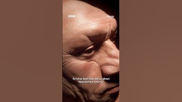 What did Neanderthals really look like? 💀 Hyper-real 3D models reveal ancient human faces