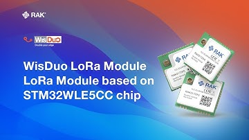Meet the WisDuo RAK3172 LPWAN Module | LoRa Module based on STM32WLE5CC chip