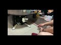 柴柴パニック！！ リアルな柴犬ワニワニパニックをお楽しみください♪