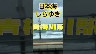 #JR東日本 #しらゆき #車窓 #日本海 #白波