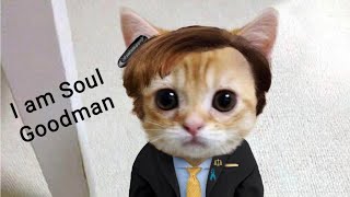 I am Soul Goodman