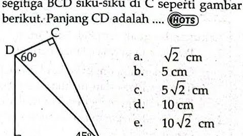 Diketahui segitiga ABD siku-siku di A dan segitiga BCD siku-siku di C seperti gambar berikut.