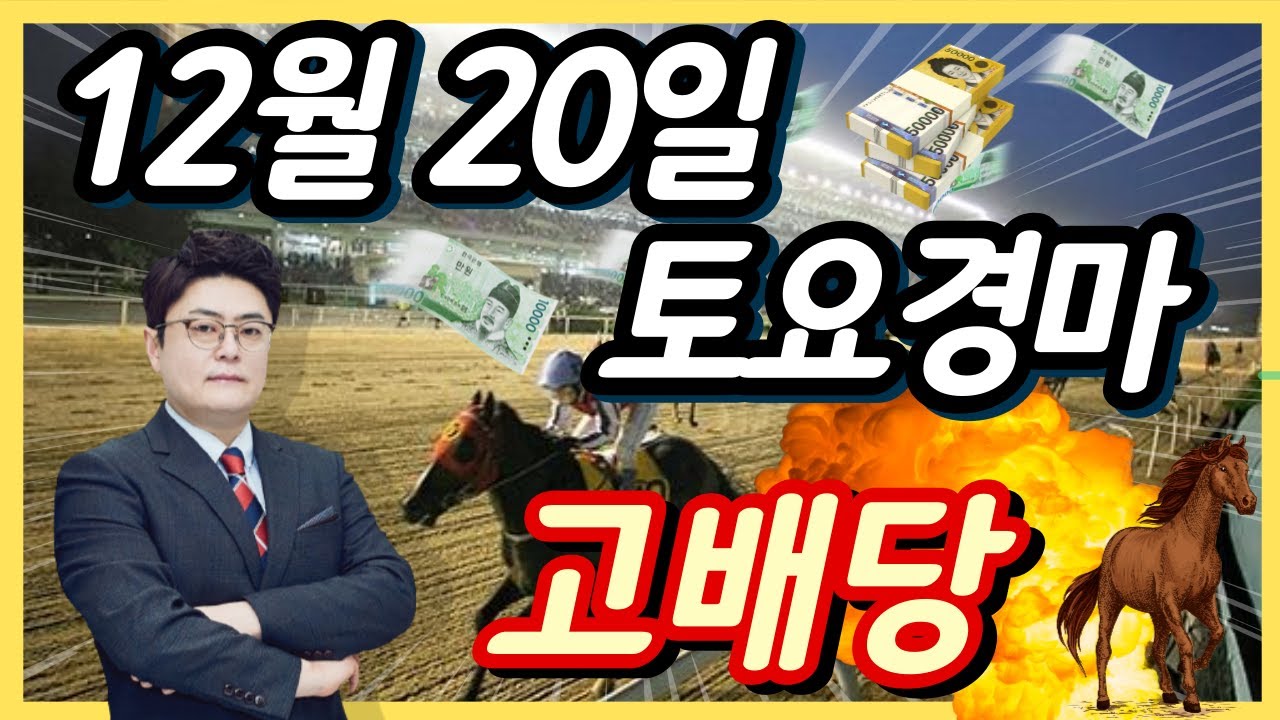 #12월20일 토요경마! 고배당 최강 분석!