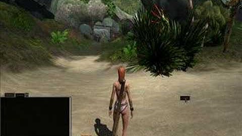 mogstat Age of Conan setting up the User Interface UI