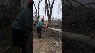Cleaning Up after Storm Damage