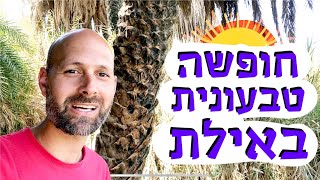 חופשה טבעונית באילת, אוכל, לינה וכייף
