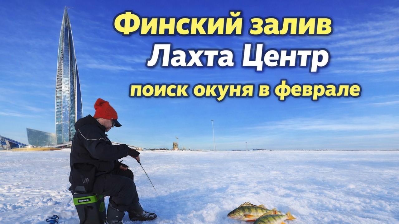 Финский залив. Лахта центр. Поиск окуня. Февраль 2026 .