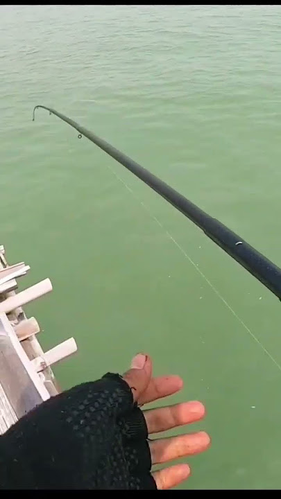 Mancing ikan dengan rangkaian seperti ini auto gacor parah