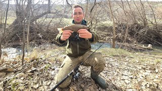 Dolu Dolu Alabalik Avi