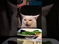 Woman Yells at Cat Over Salad 😂🐱 | Classic Meme IRL