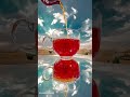 تصوير آيفون   ايفون اكسبلور تصوير