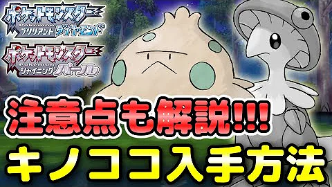 ポケットモンスターブラックキノコほうし入手方法