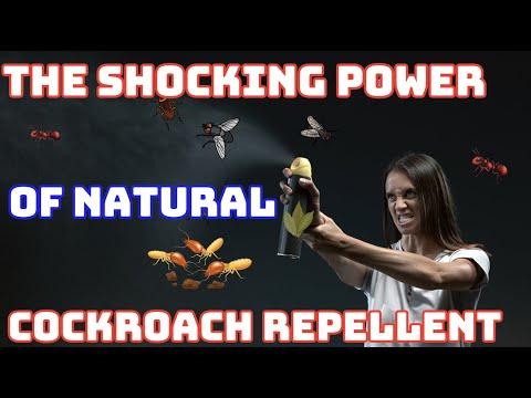 The Shocking Power of a Common Plant as a Cockroach Repellent