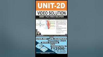| CSIR Practice Question | Unit 2. Cellular Organization | Topic: D Cell division and cell cycle |