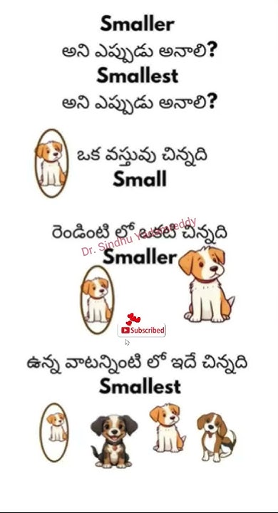 Small Vs Smaller Vs Smallest Words That Commonly Confuse English biggest-vs-smallest-smartphone-youtube