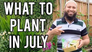 What Can I Grow In July   What To Plant In July  Mid Summer Sowing Guide