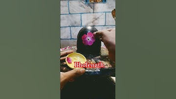 जब जब भक्त भगवान का ध्यान करता है || MAHADEV #shorts #shiv #shortvideo #viralvideo #short #ytshorts