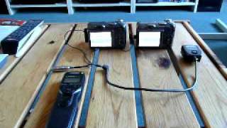 CHDK / SDM Wireless USB Remote