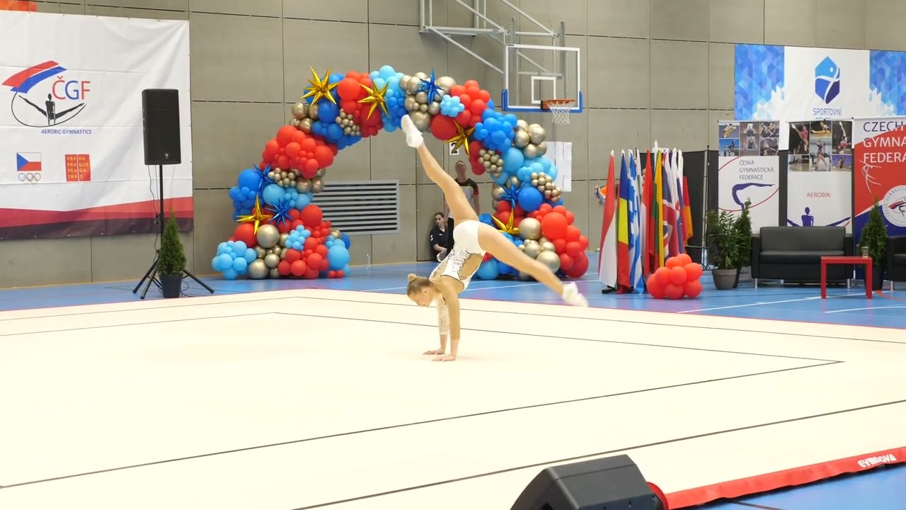 Czech Aerobic Open 2024 - Qualification - SEN IW - GER - Charlotte Densch